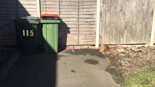 Professional team handling garden clearance